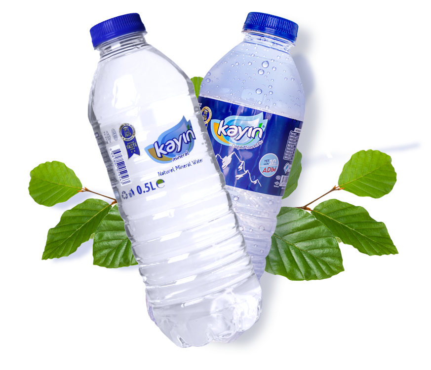 500mL Pet Şişe
