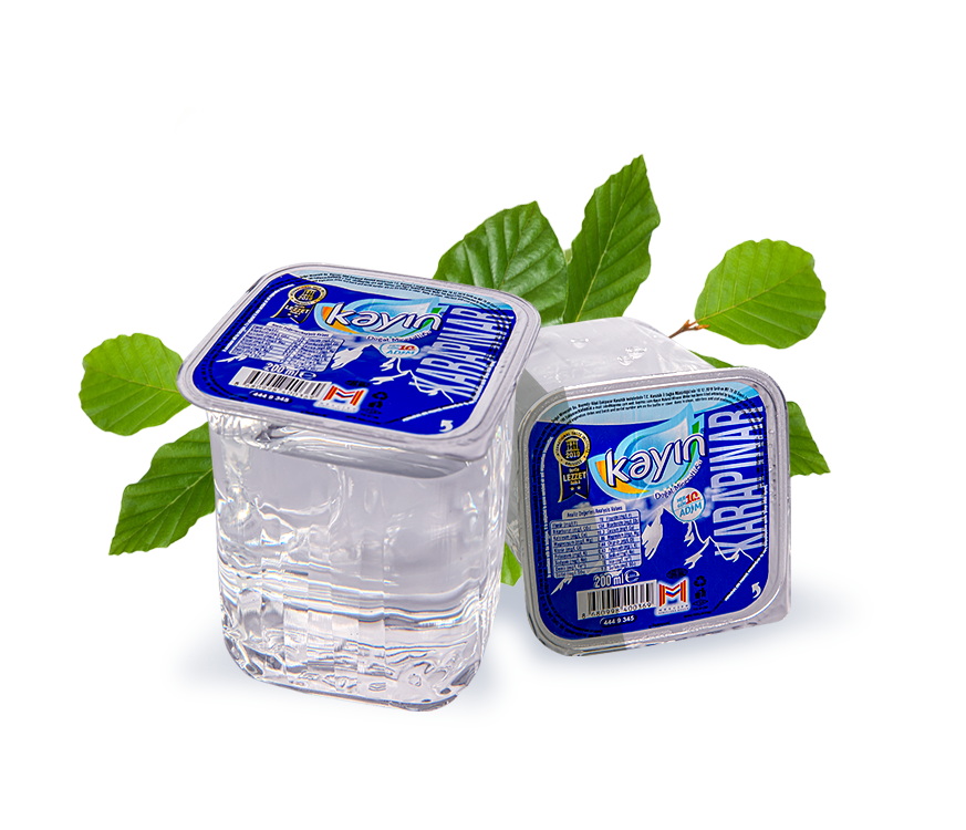200mL Bardak